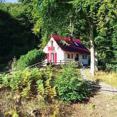 Idyllische Lage, Eigene Fasssauna, Kamin Und Terrasse - Ferienhaus Rotkaeppchen *